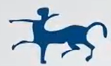Goat anti-human IgG secondary antibody