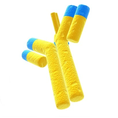 Sitagliptin phosphate monohydrate